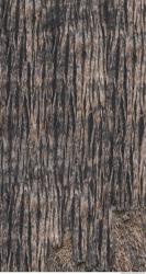 Photo Textures of Wood